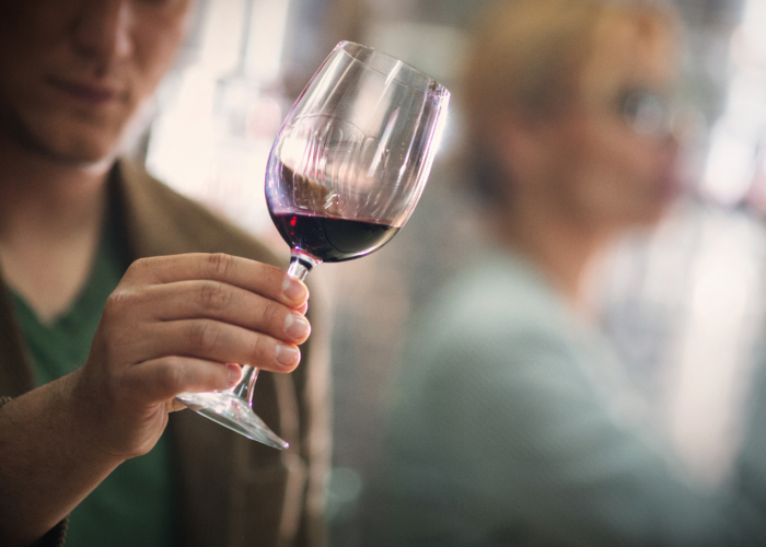 Taller_Cata de vinos- Pilsaeduca - Yuzin Granada - Gastronomía