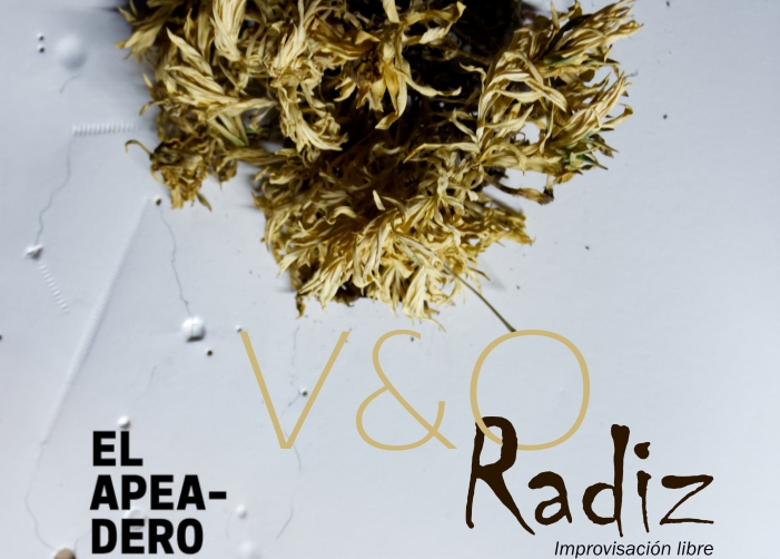 Sala El Apeadero - Yuzin Granada