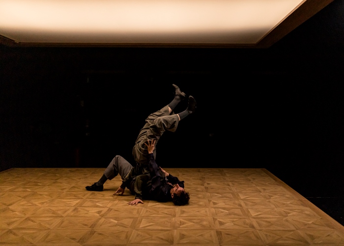 danza_los-perros_teatro-alhambra_yuzin-granada