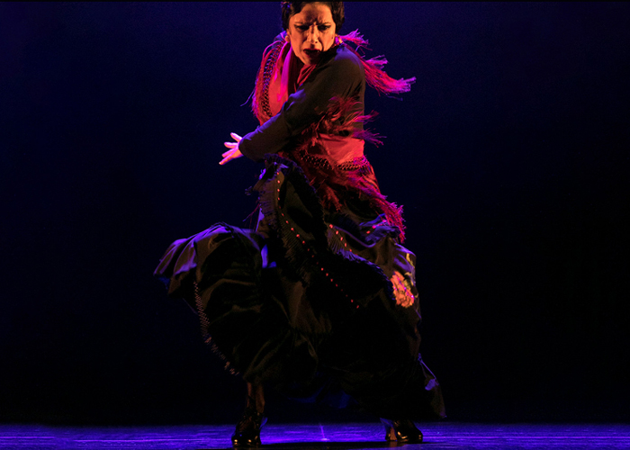 andalucia-flamenco_yerbabuena_teatro-alhambre_yuzin-granada