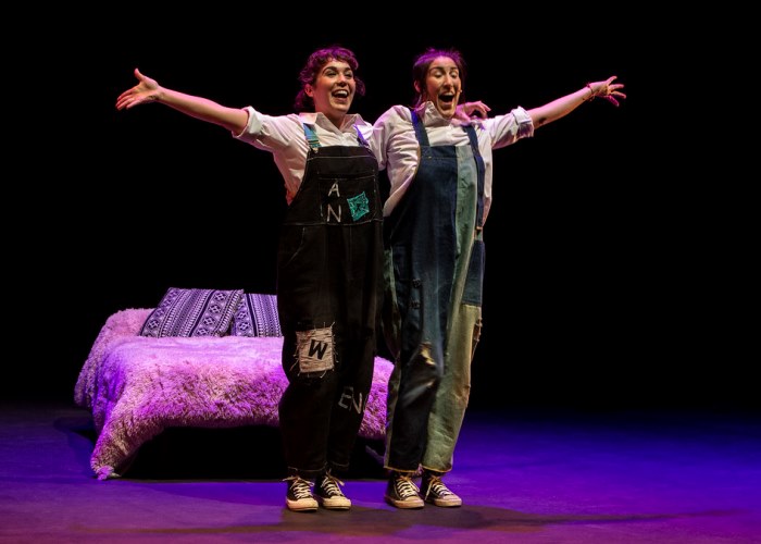 quién dijo miedo laviebel teatro - Sala Tarambana - Yuzin Carabanchel - agenda cultural - familiar