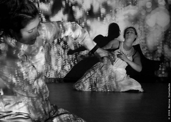 Driadi, el amor enjaulado - Sala Tarambana - Yuzin Carabanchel - agenda cultural - teatro