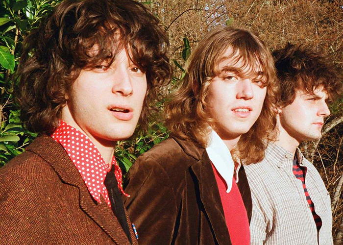 musica_sharp-pins_lemon-rock_agenda-cultural-yuzin-granada
