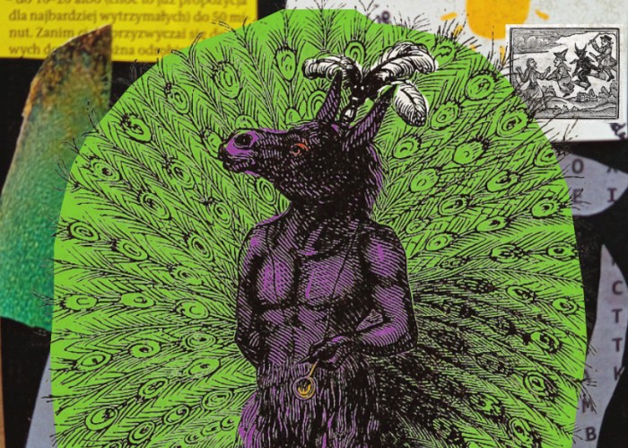 WALPURGIS - La Casa con Libros - La Zubia - Yuzin Granada