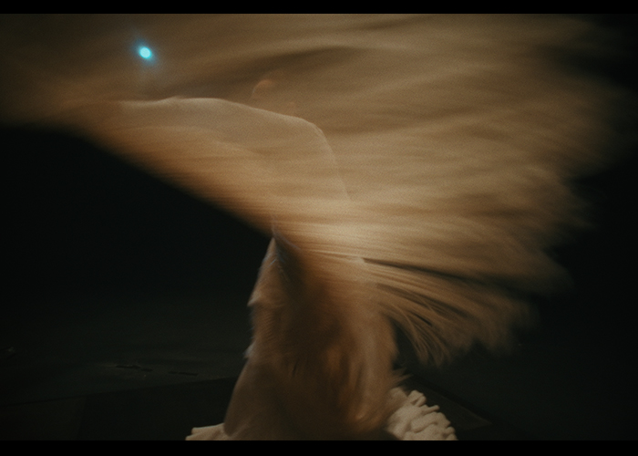 fcfg 2026 - sesión cortometrajes 2 · 22 sept 2026 — Palacio de los Condes de Gabia